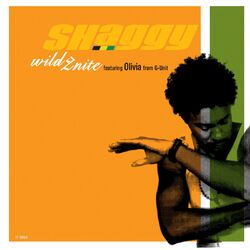 Cover of Wild 2nite