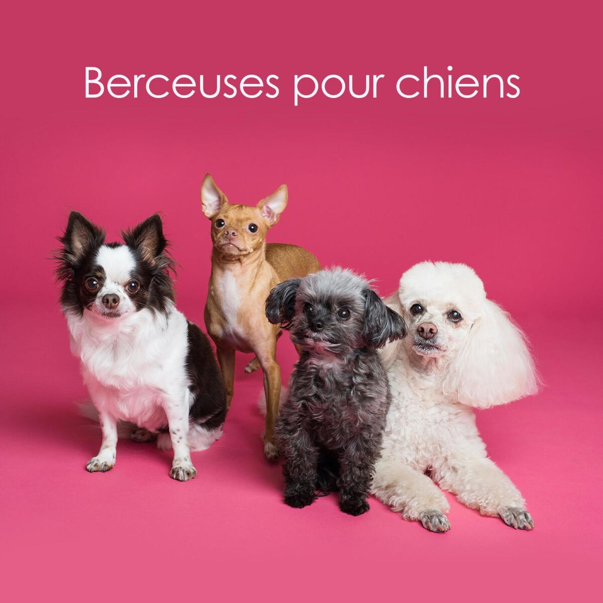 Album cover of Après-midi lent et calme