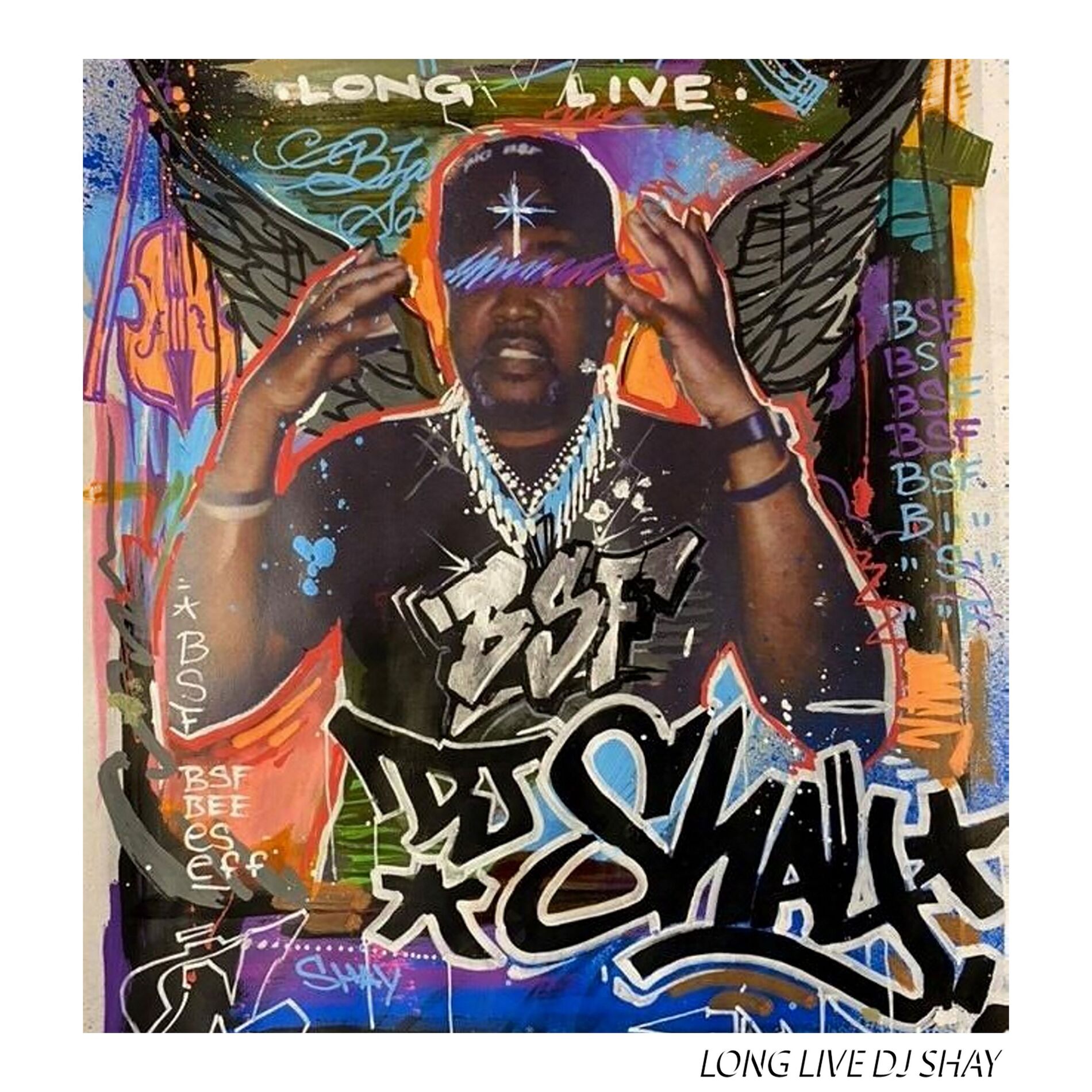 Album cover of Long Live DJ Shay