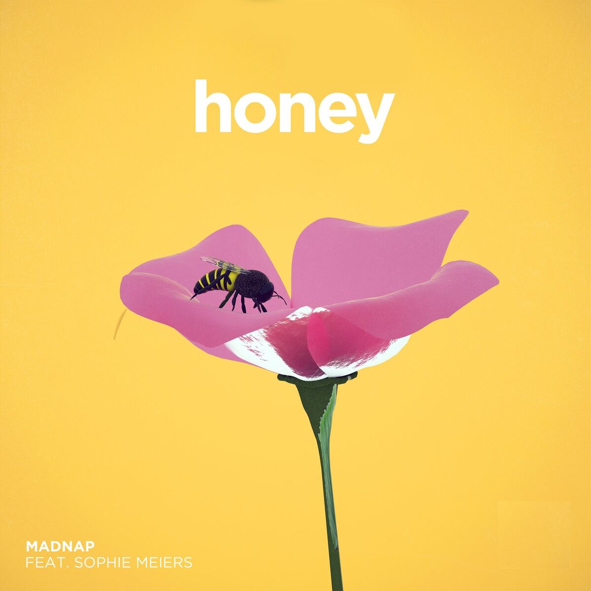 Album cover of Honey