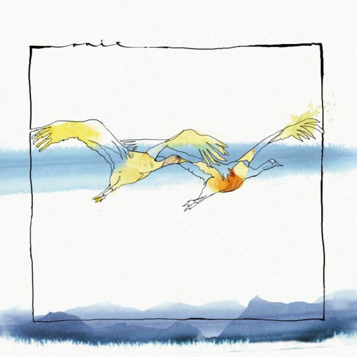 Album cover of Vola