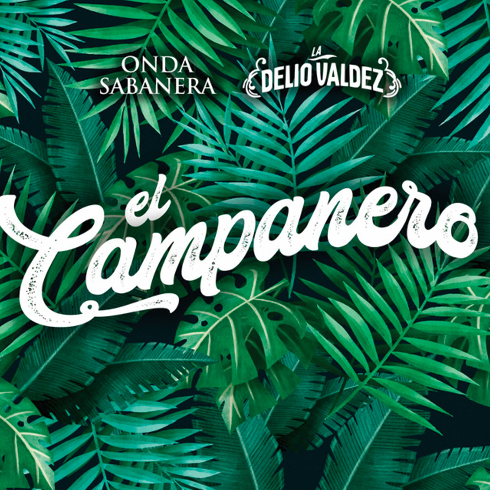 Album cover of El Campanero