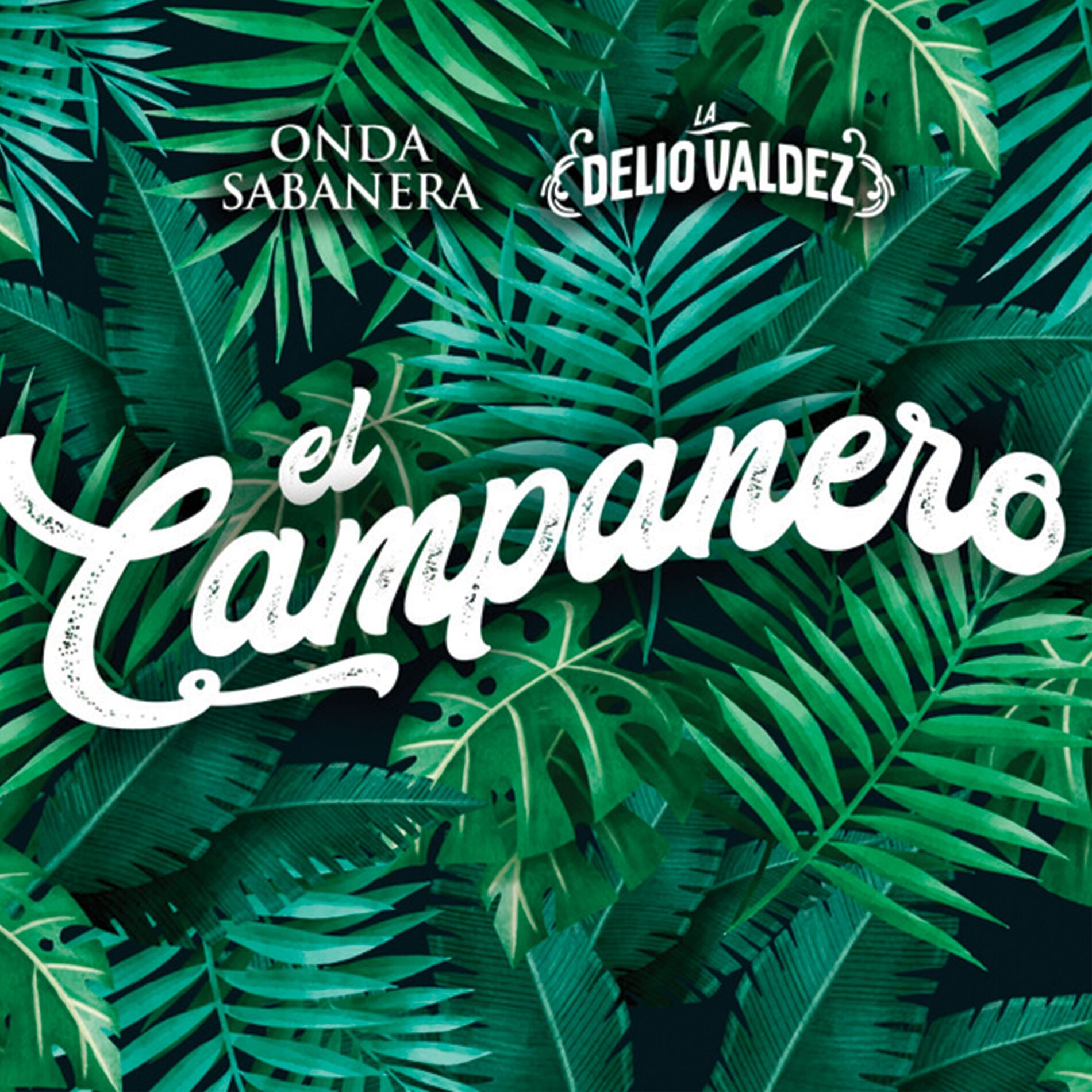 Album cover of El Campanero