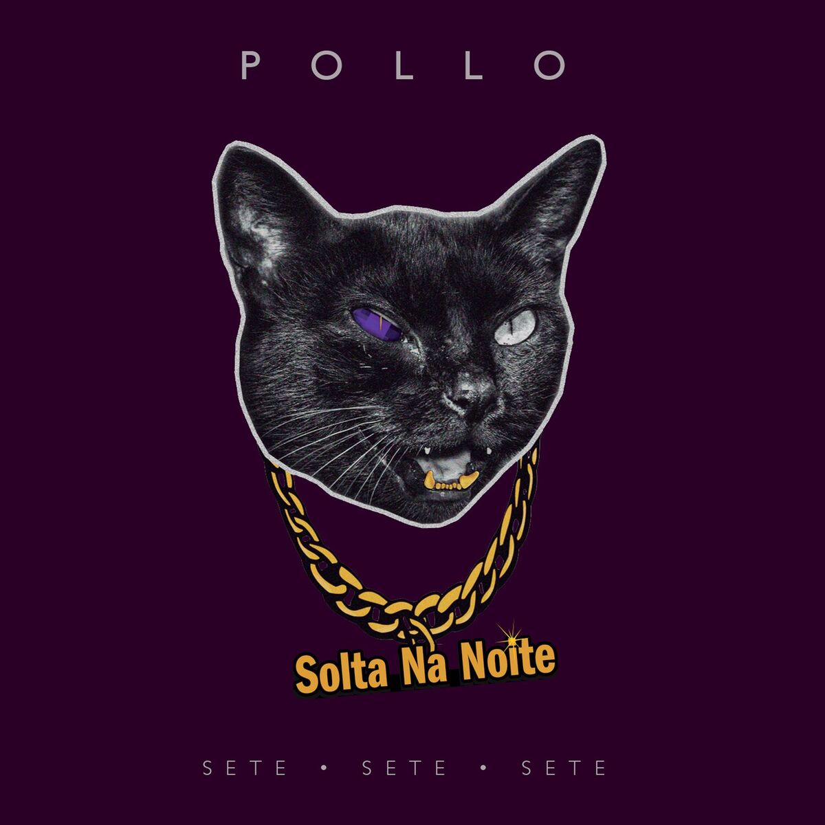 Album cover of Solta Na Noite