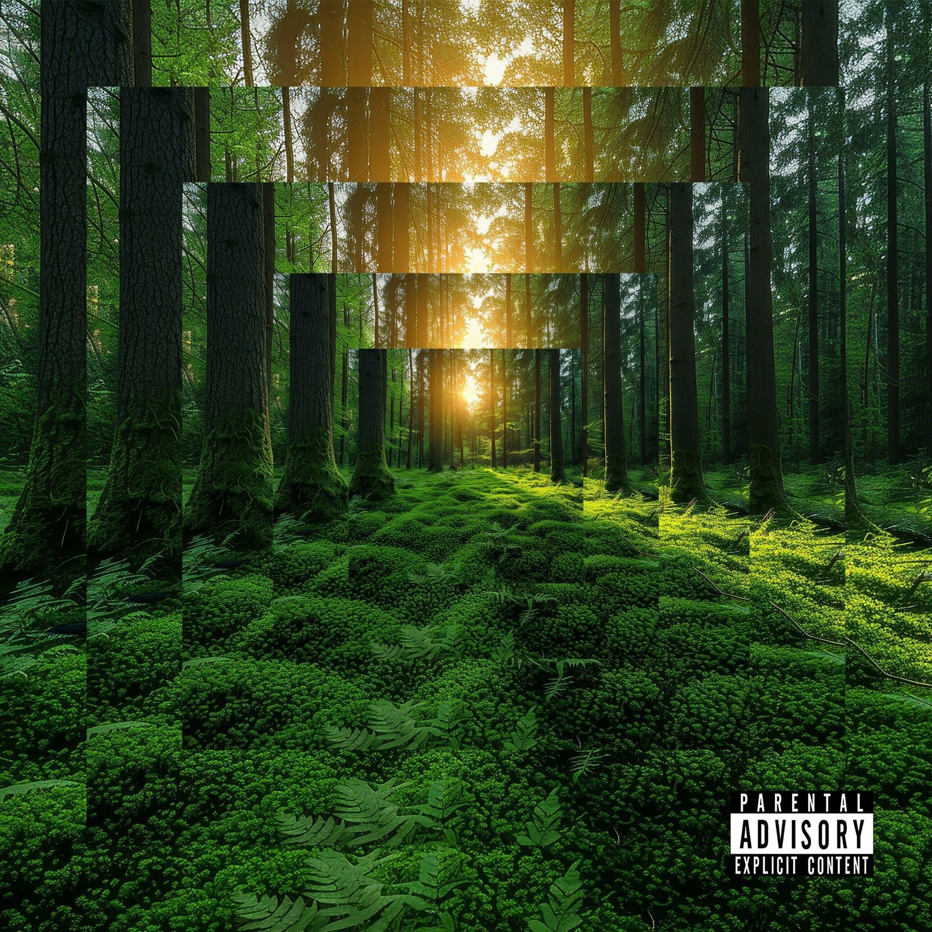 Album cover of La Forêt