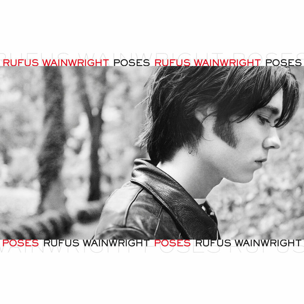 Picture of Poses (Expanded Edition)