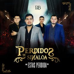 Cover of Estas Perdida