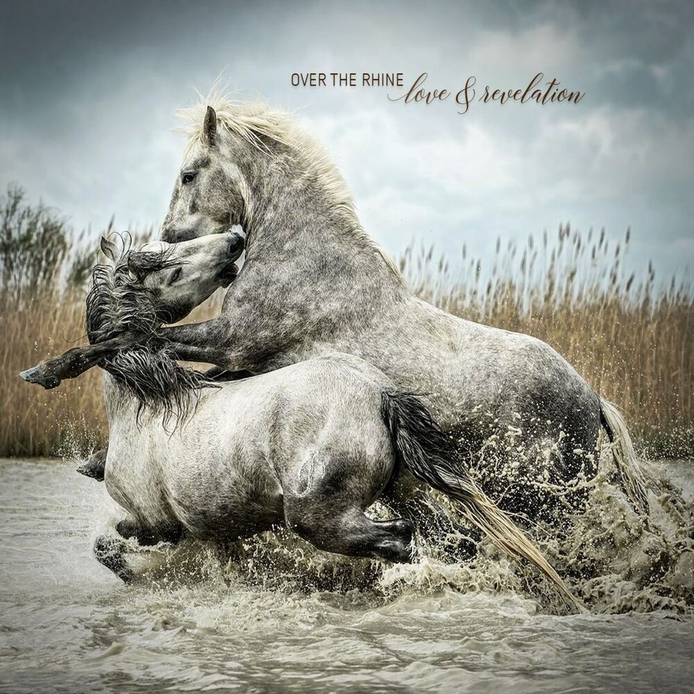 Picture of Love & Revelation