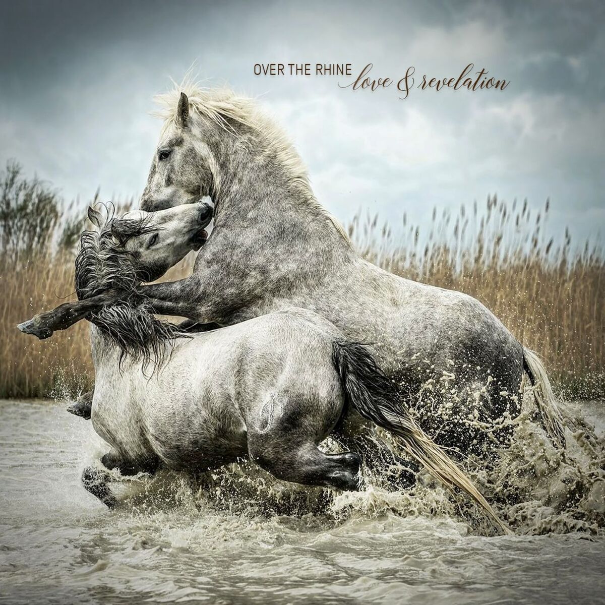 Album cover of Love & Revelation