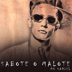 Cover of Sabote o Malote
