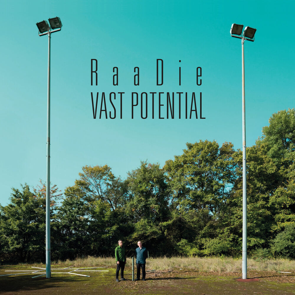 Picture of Vast Potential