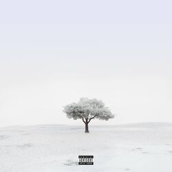 Cover of Amigos