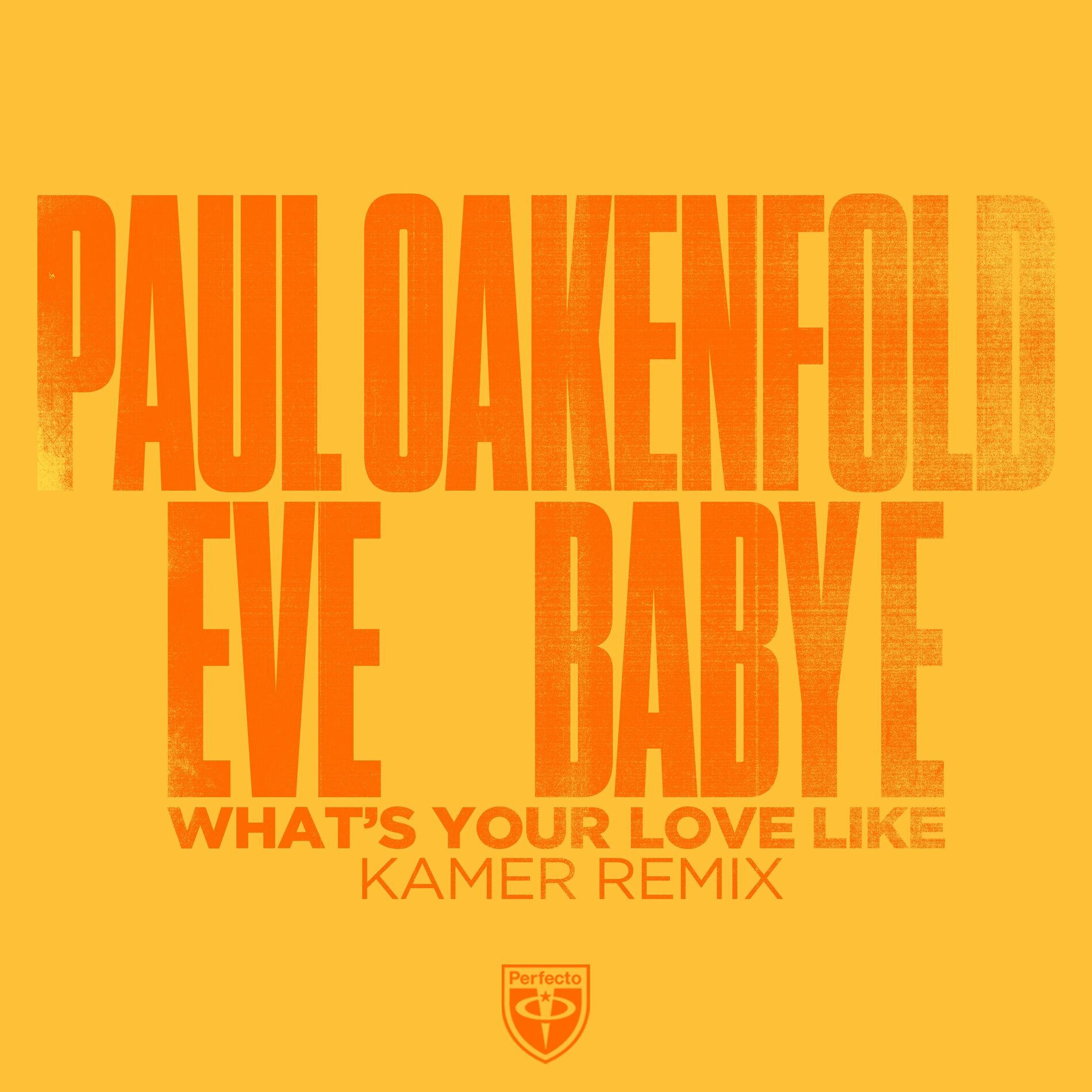 Album cover of What's Your Love Like (Kamer Remix)