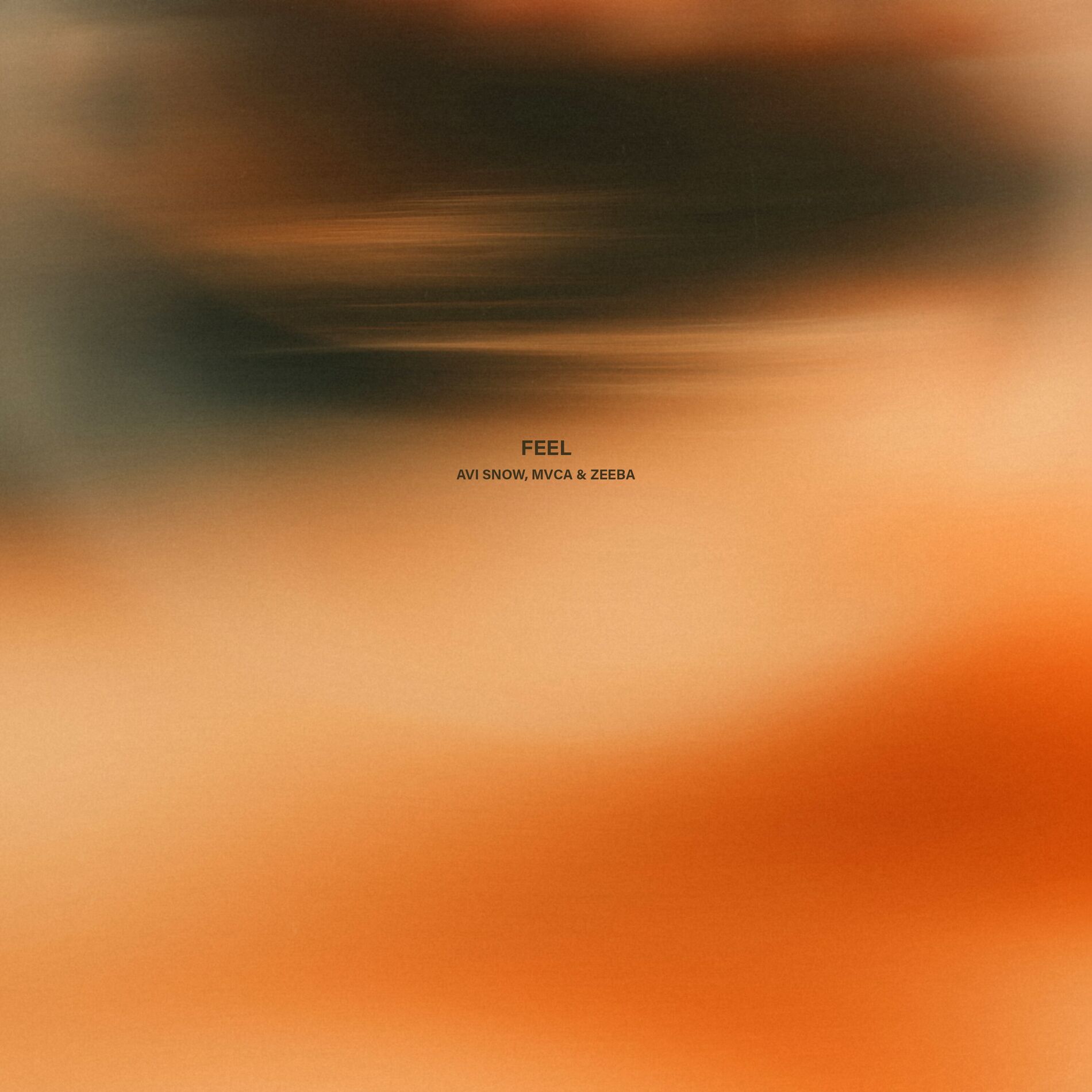 Album cover of Feel