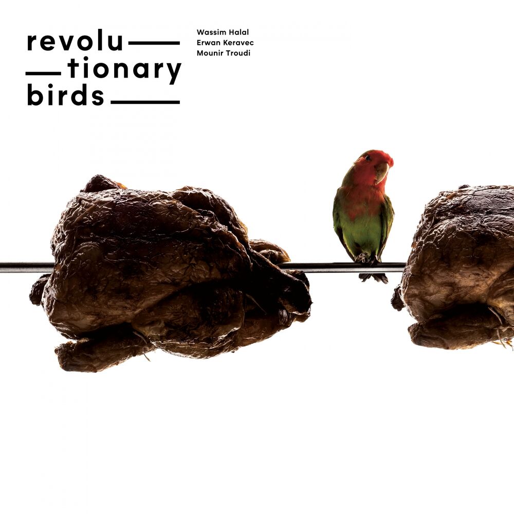 Picture of Revolutionary Birds