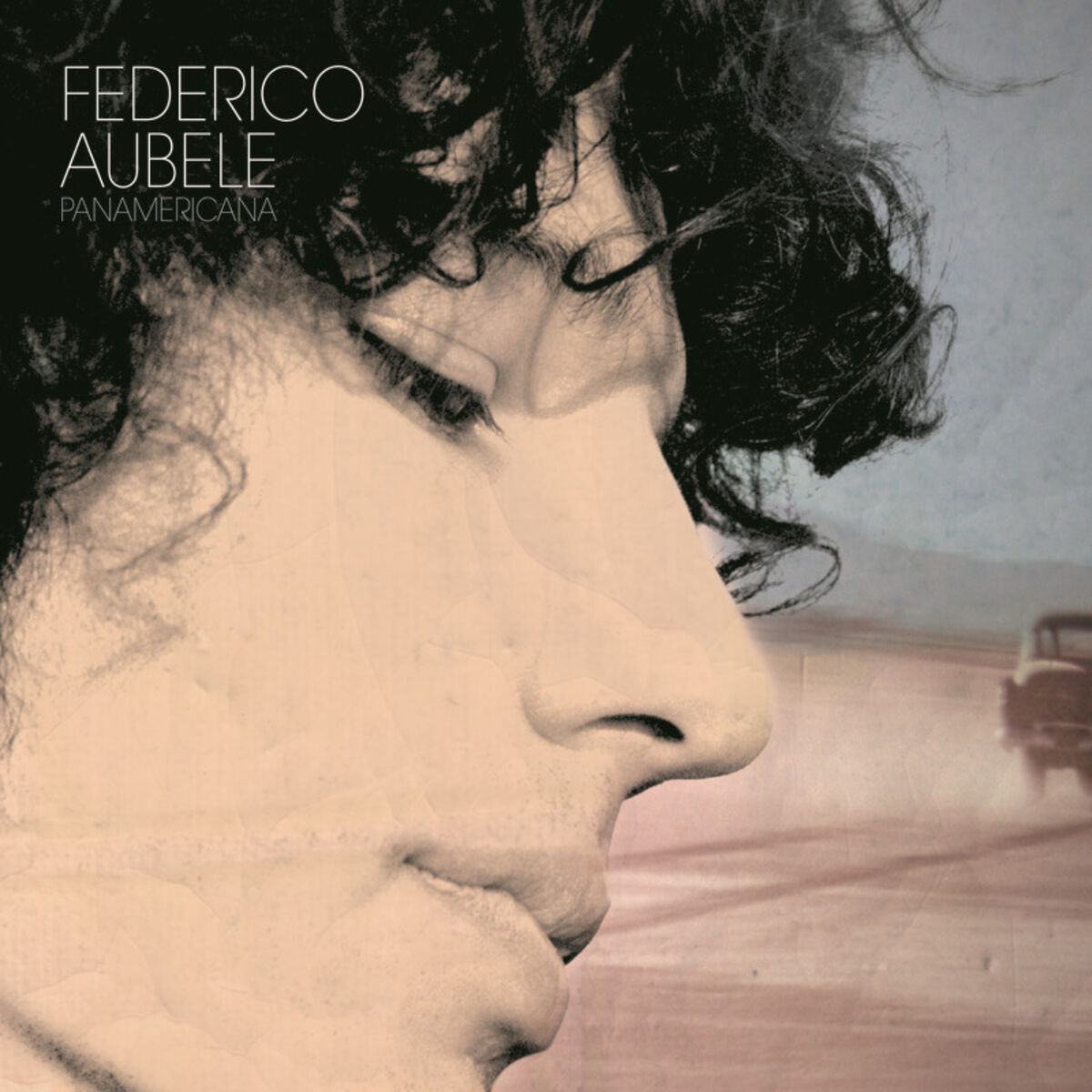 Album cover of Panamericana