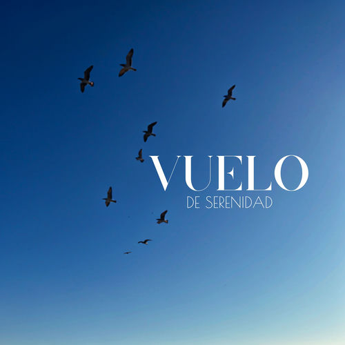 Vuelo de Serenidad: Pájaros Se Deslizan, Preocupaciones Desaparecen, Espíritus Se Elevan