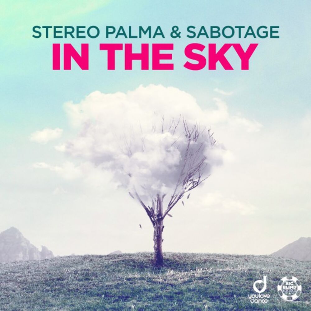 Picture of In the Sky