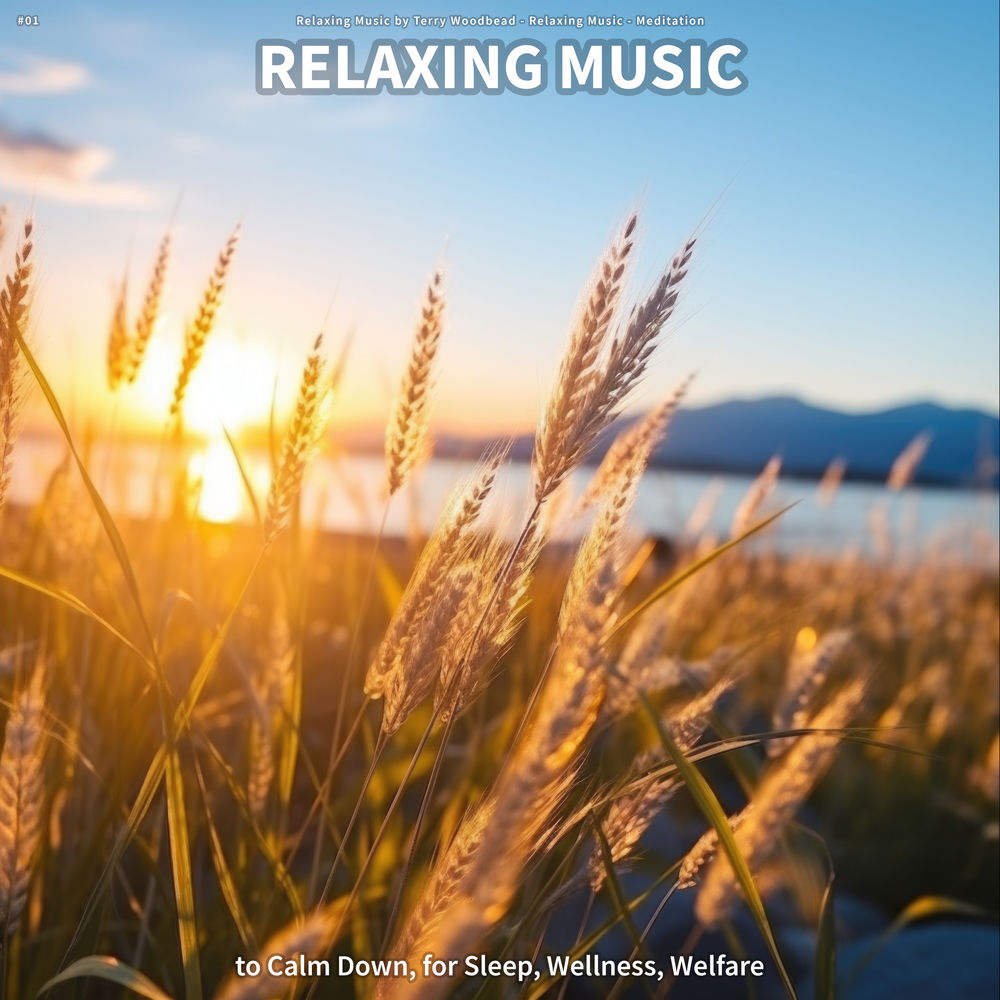 #01 Relaxing Music to Calm Down, for Sleep, Wellness, Welfare