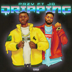 Cover of Dripping