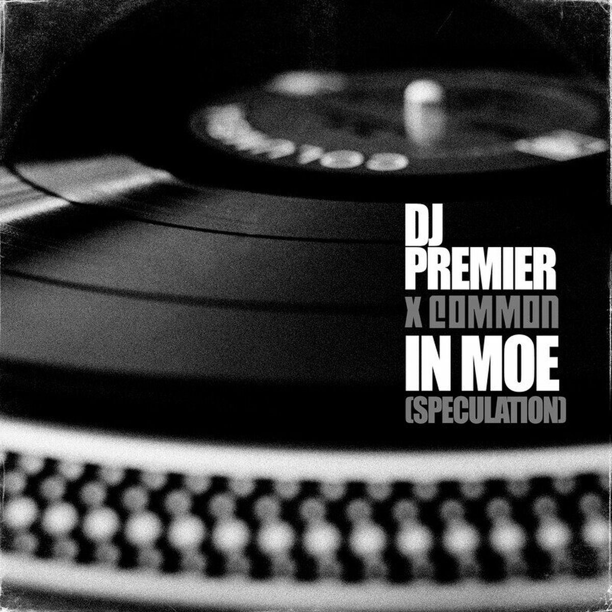 Album cover of In Moe (Speculation)