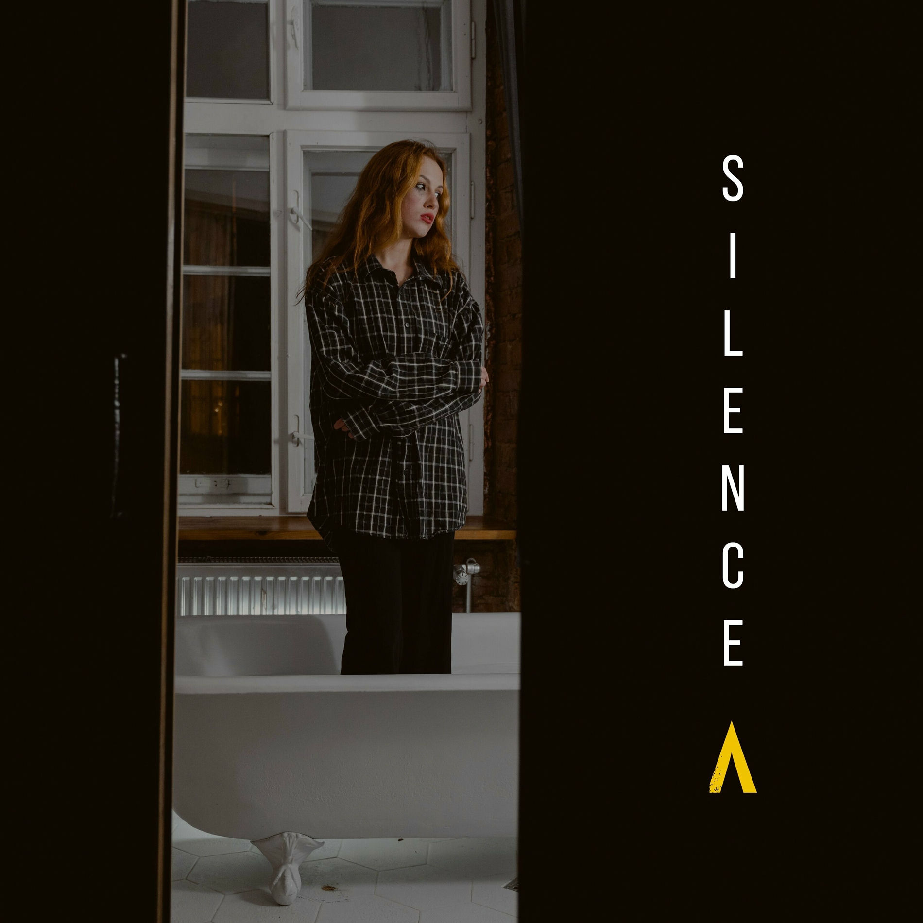 Album cover of Silence