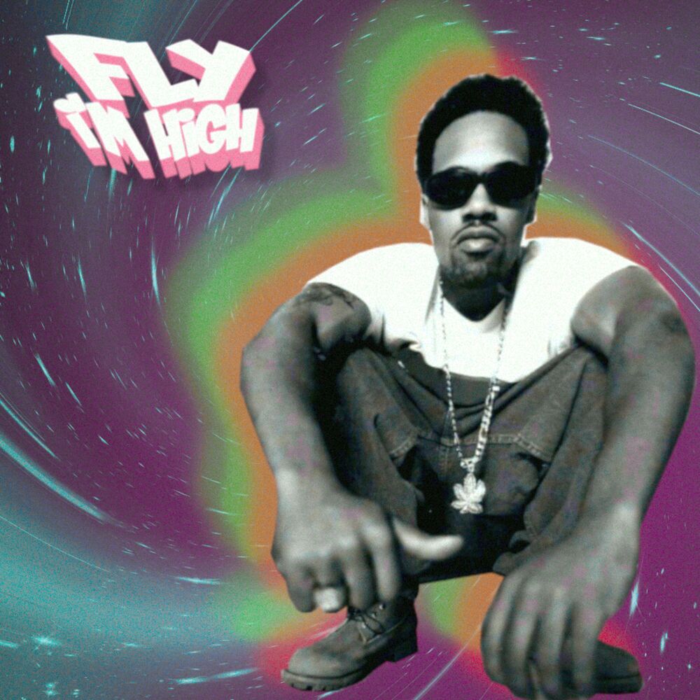 Picture of Fly (I'm high)