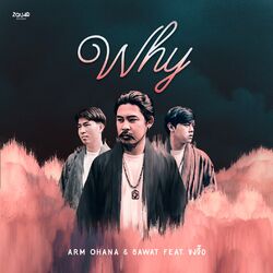 Cover of Why