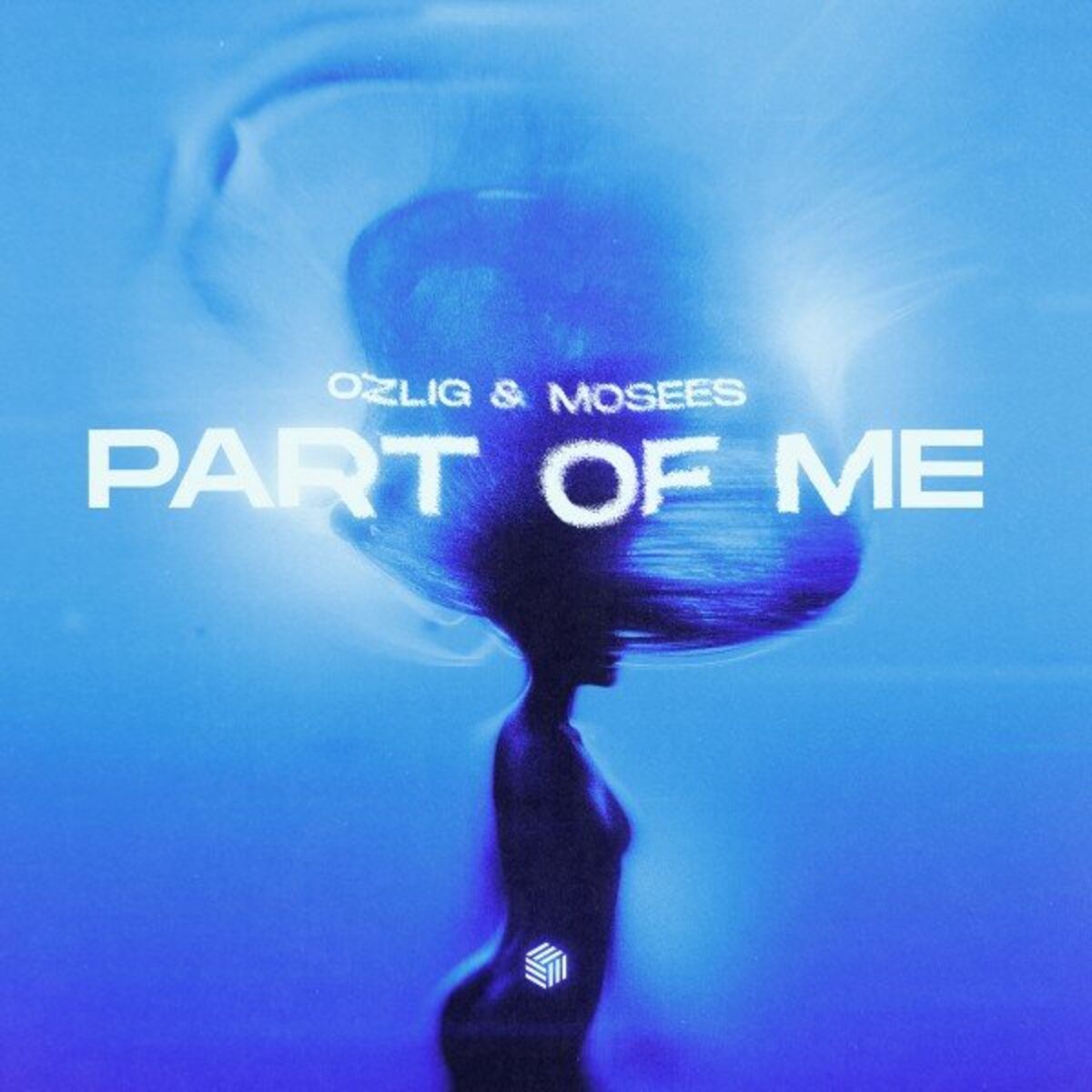 Album cover of Part of Me