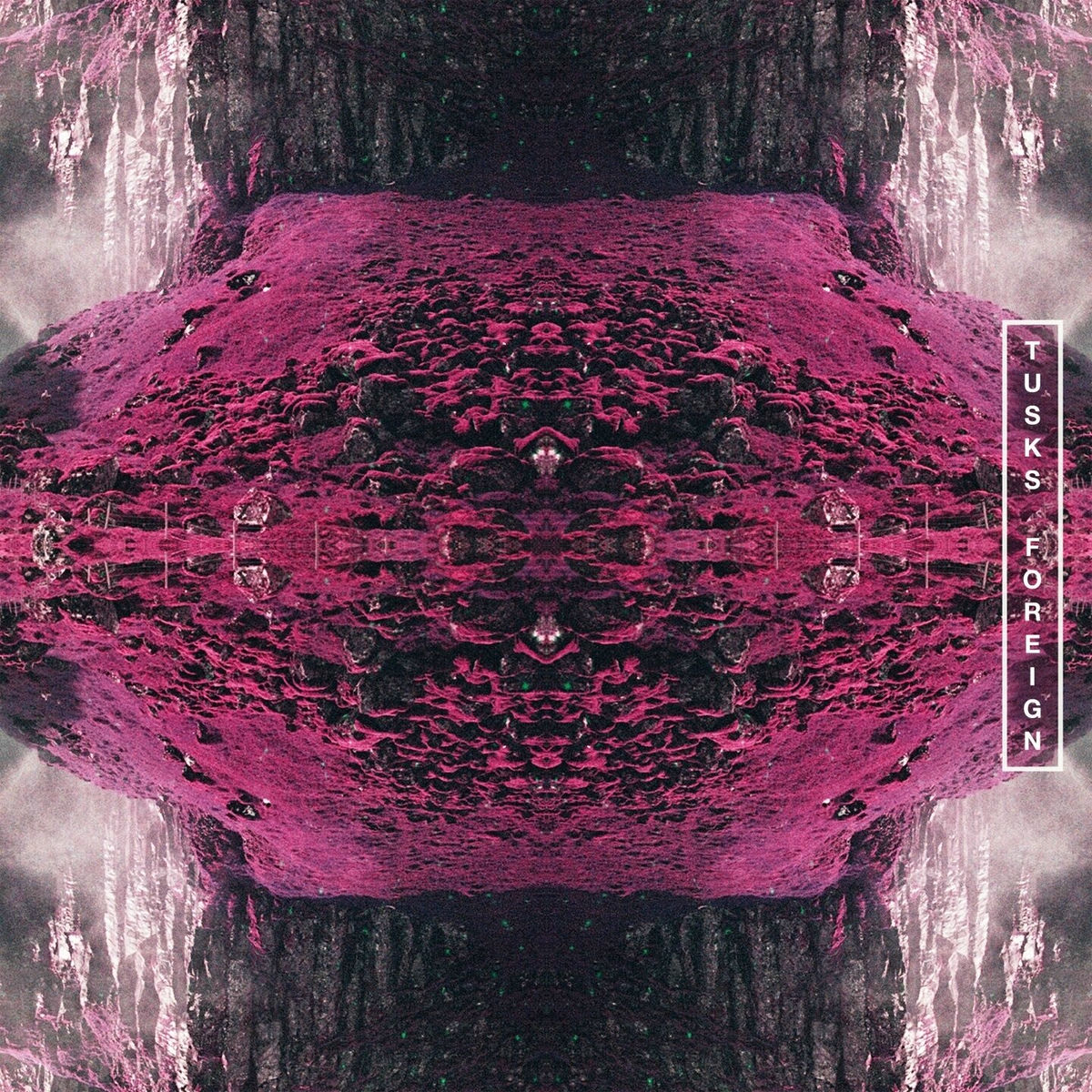 Album cover of Foreign