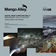 Binauraler by Meeting Molly album cover