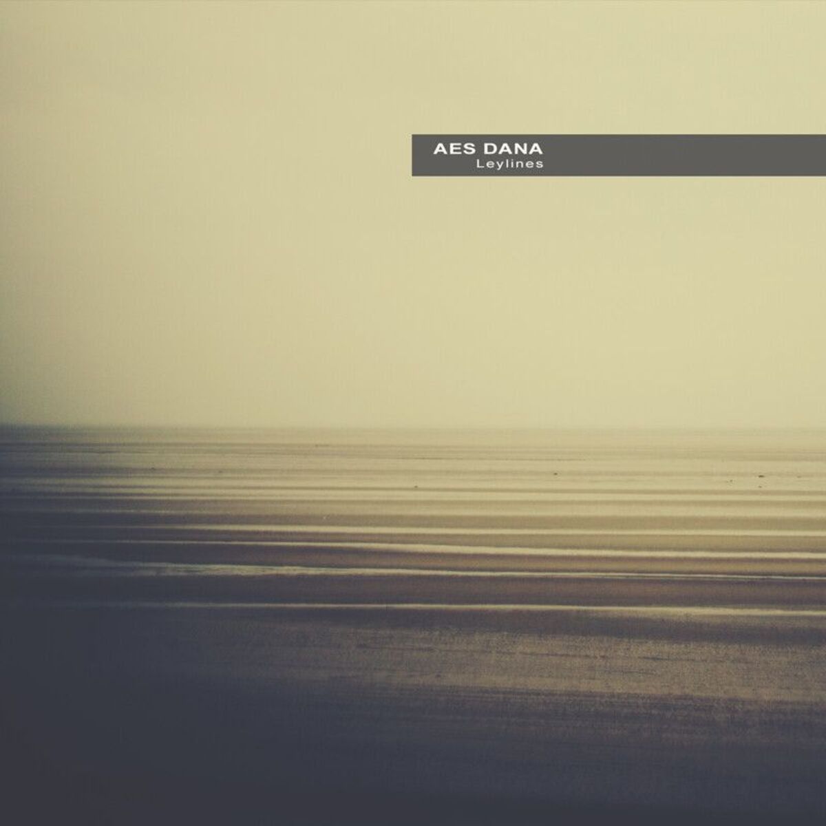 Album cover of Leylines