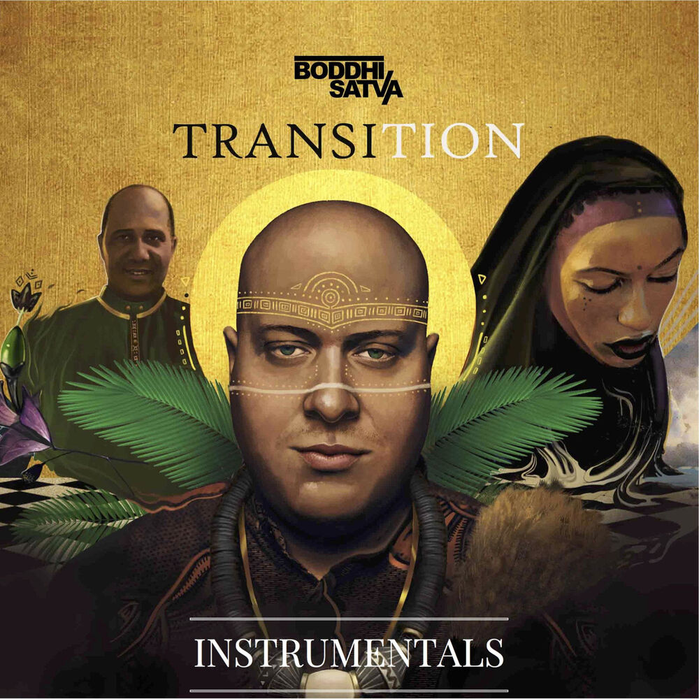Picture of Transition