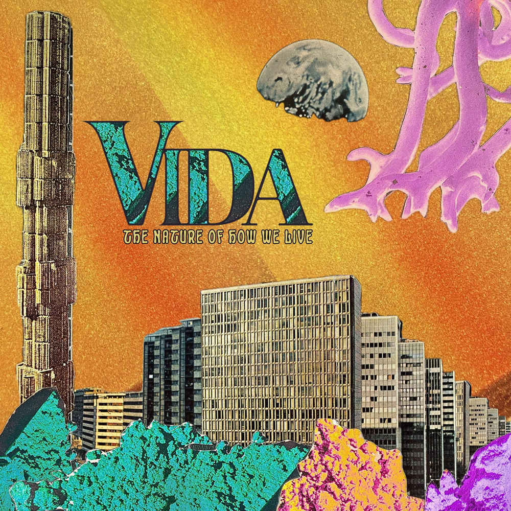 Album artwork for Burn Unit by VIDA