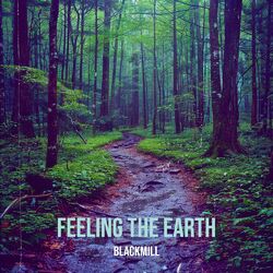 Cover of Feeling the Earth