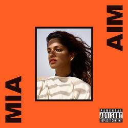 Cover of AIM (Deluxe)