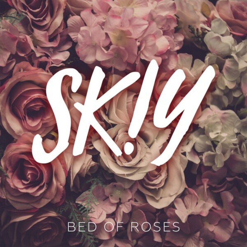 Picture of Bed of Roses