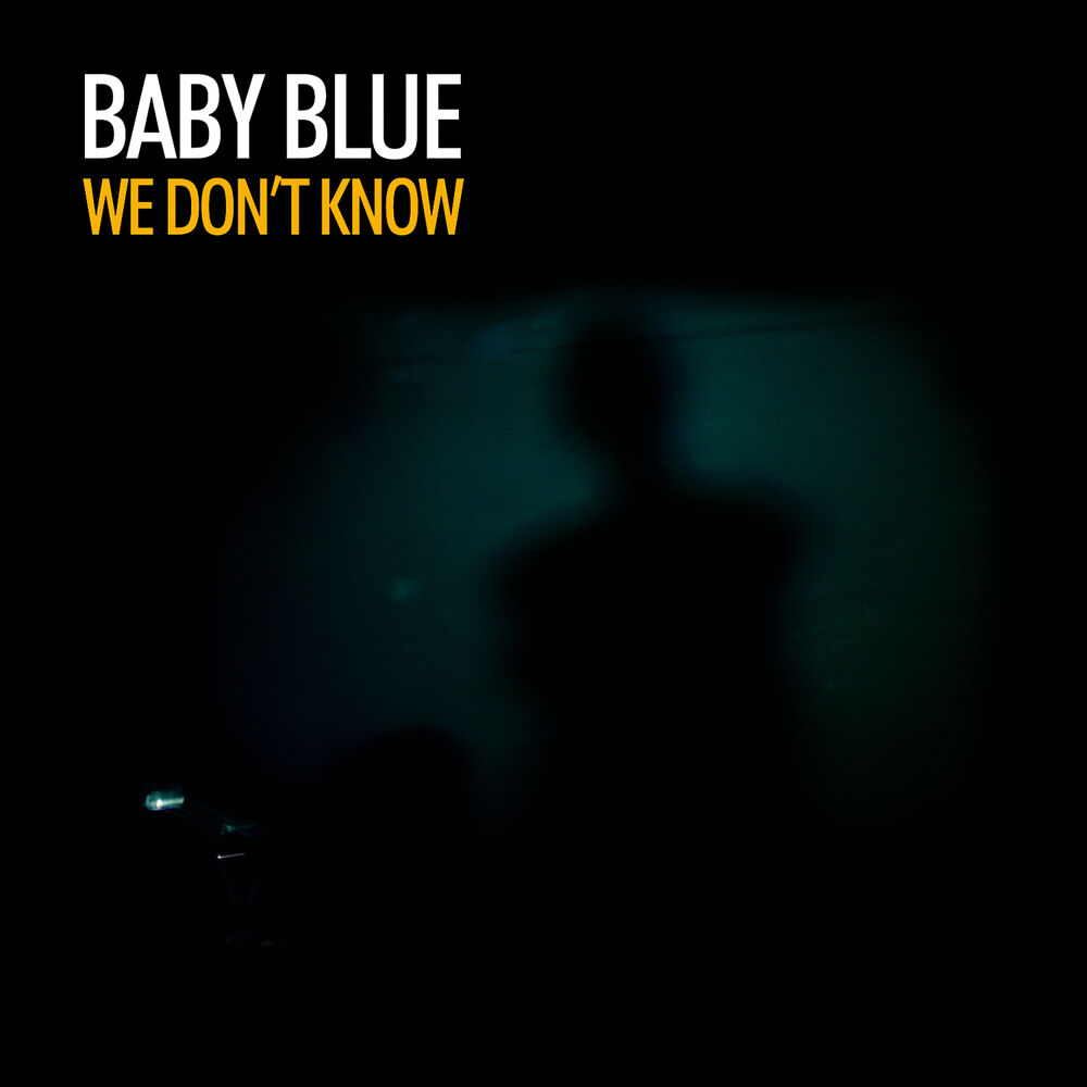 Picture of We Don't Know