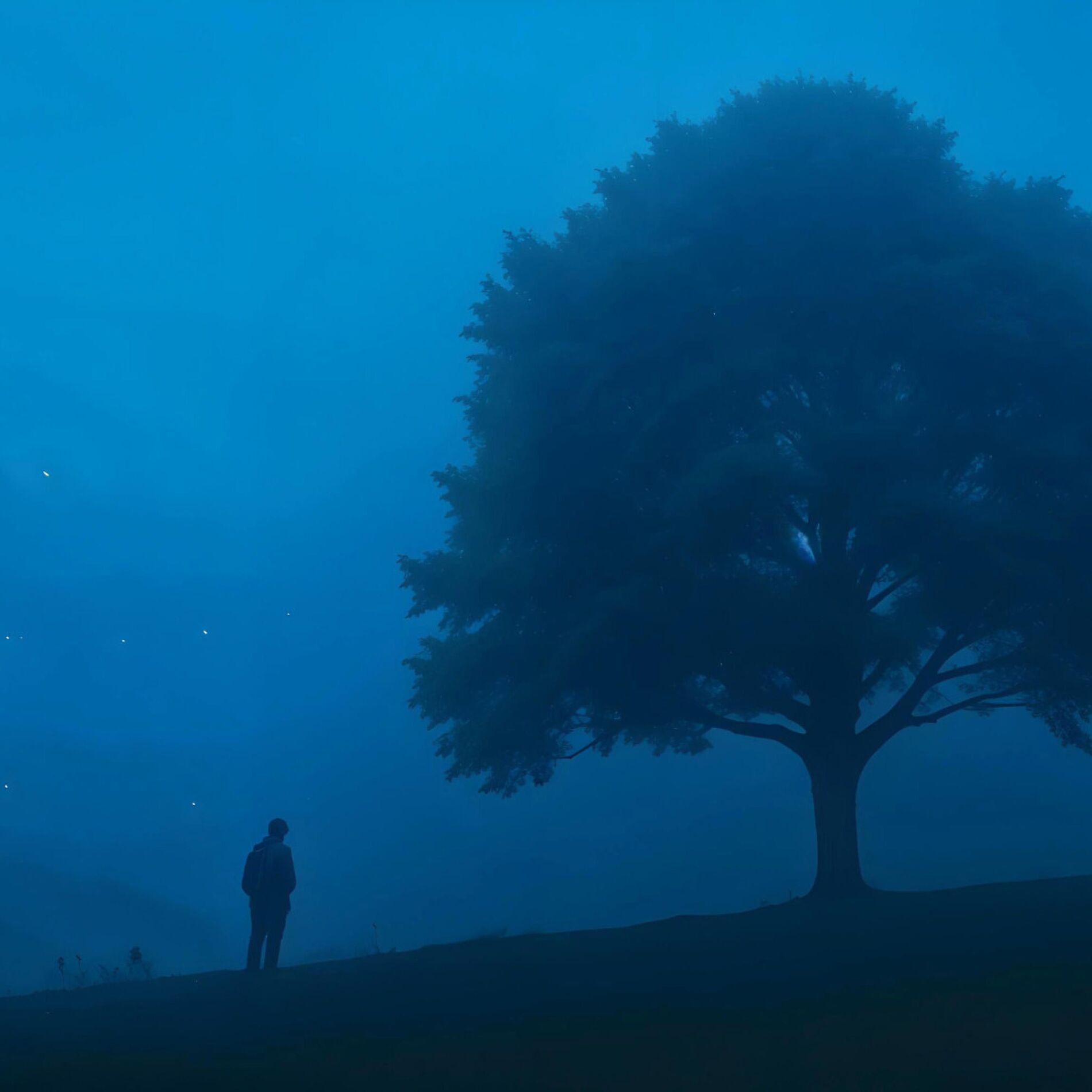 Album cover of Forgotten tapes