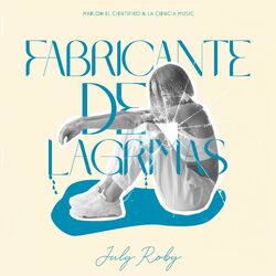 Cover of Fabricante de Lágrimas