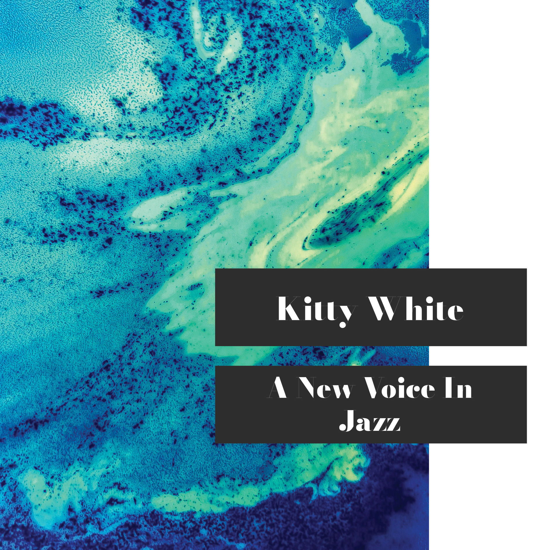 Album cover of A New Voice in Jazz