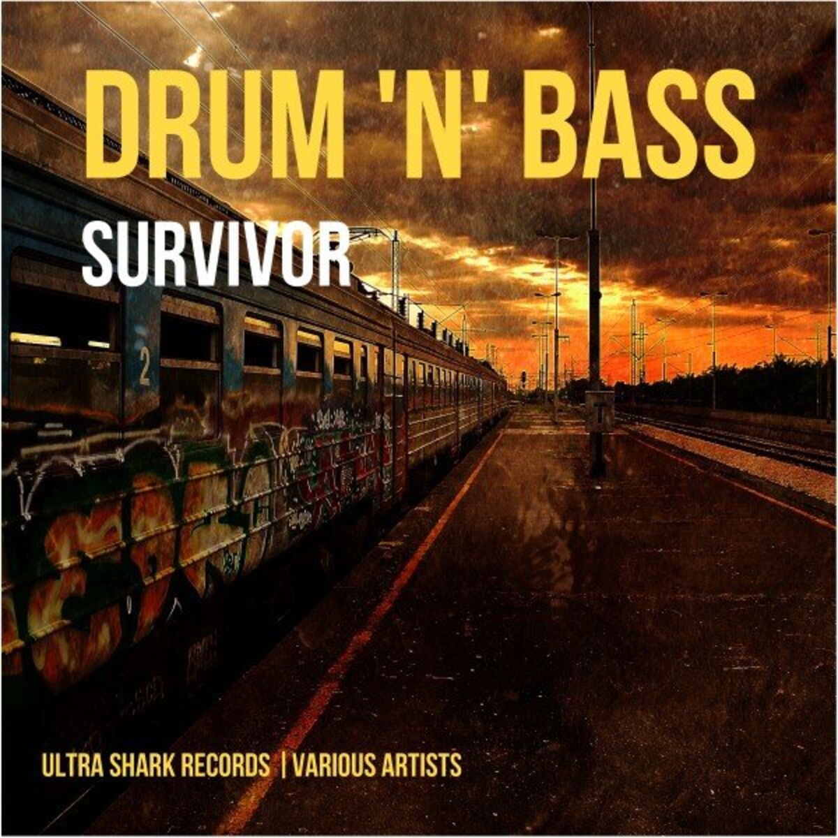 Album cover of Drum and Bass Survivor, Vol. 1