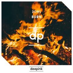 Cover of Burn