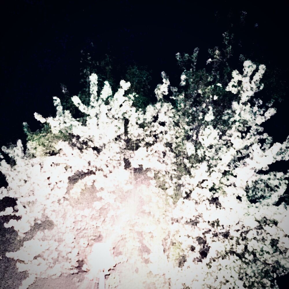 Picture of Untitled