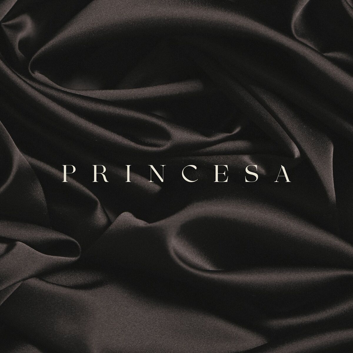 Album cover of Princesa