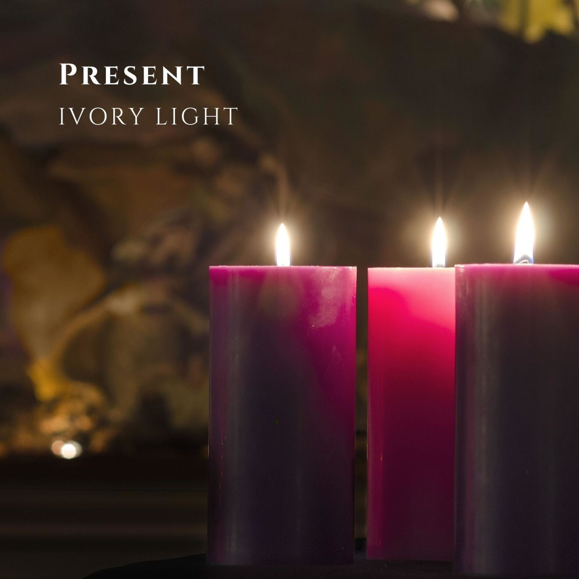 Album cover of Comforted