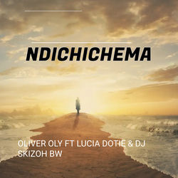Cover of Ndichichema by undefined
