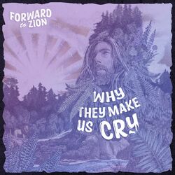 Cover of Why They Make Us Cry