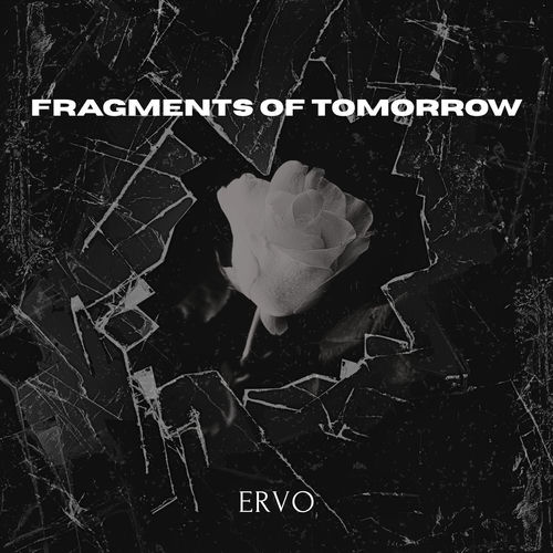 Realisation (instrumental version) by Ervo - 123 BPM