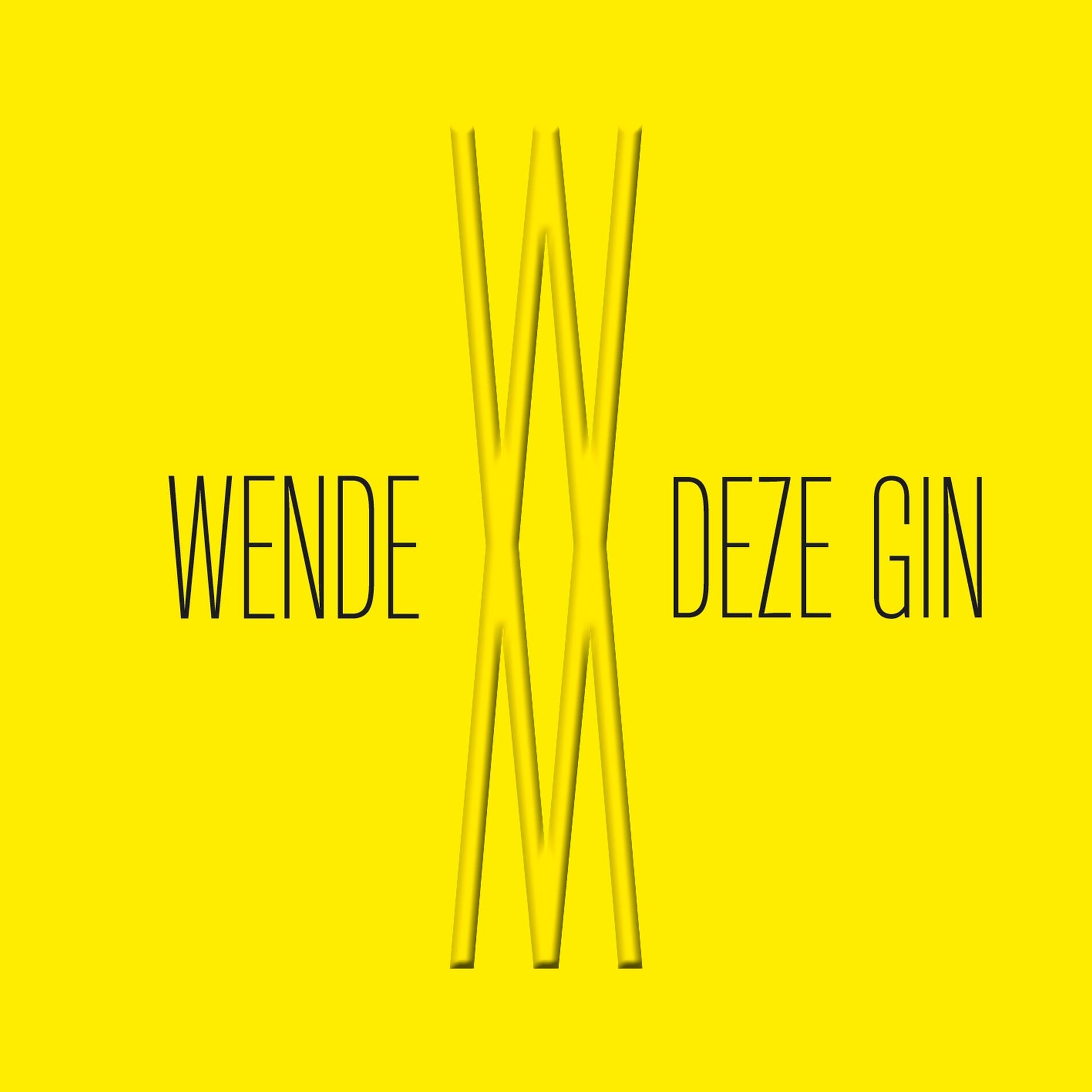 Album cover of Deze Gin